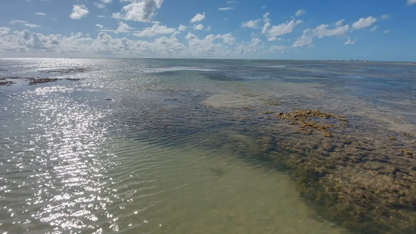 Mar e recifes da Costa dos Corais em São Miguel dos Milagres