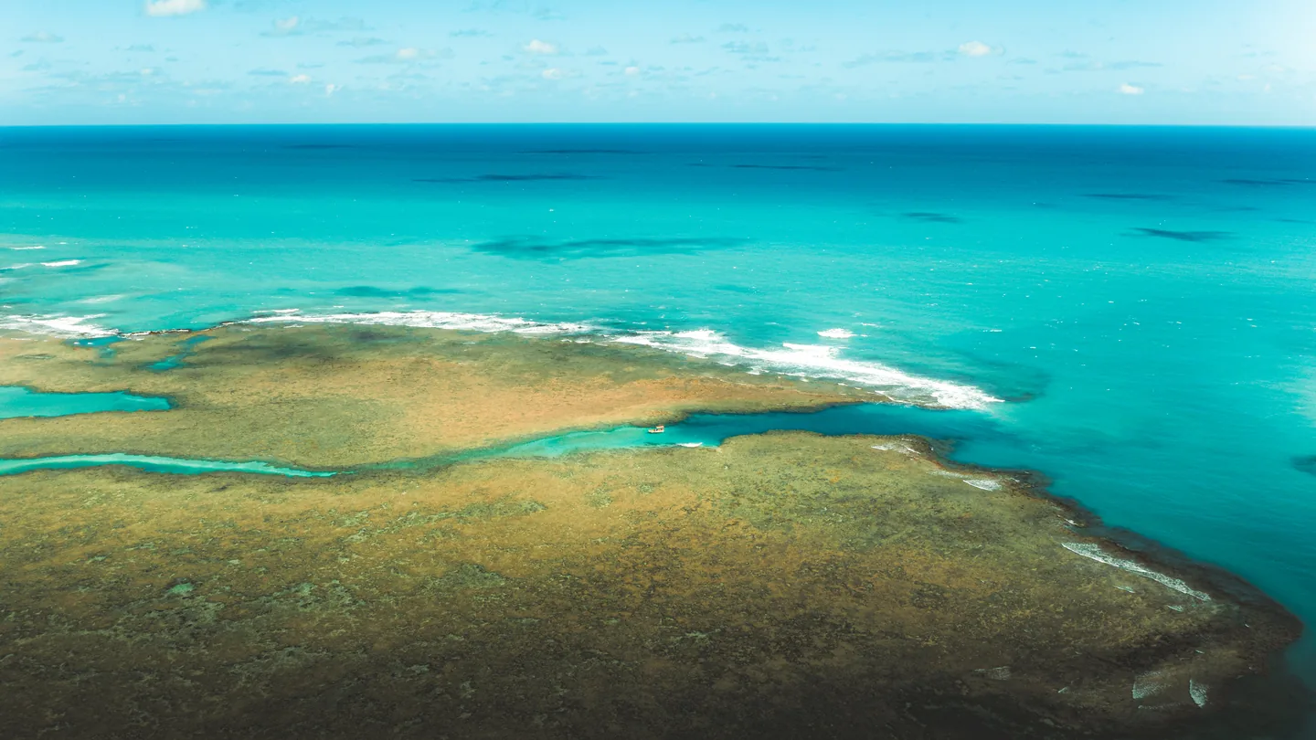 Mar azul-turquesa e recifes vistos do alto, com o horizonte ao fundo.